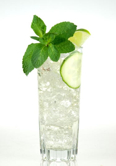 The Duchess Non-Alcoholic Gin & Tonic