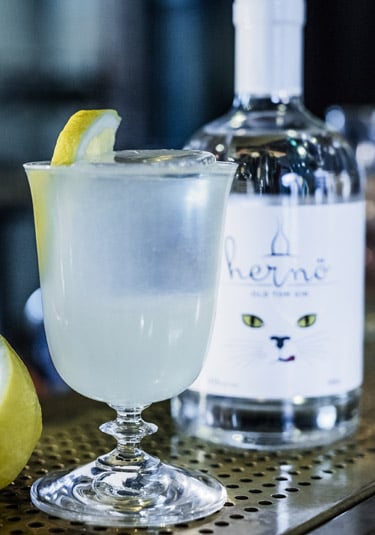 The Duchess Non-Alcoholic Gin & Tonic