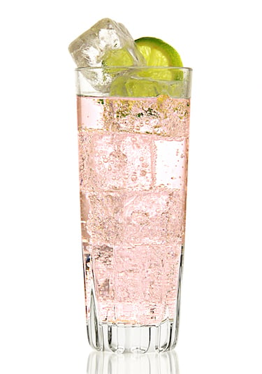 The Duchess Non-Alcoholic Gin & Tonic